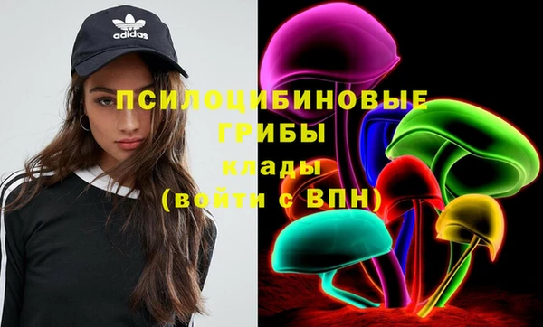 соль курить ск Гусев