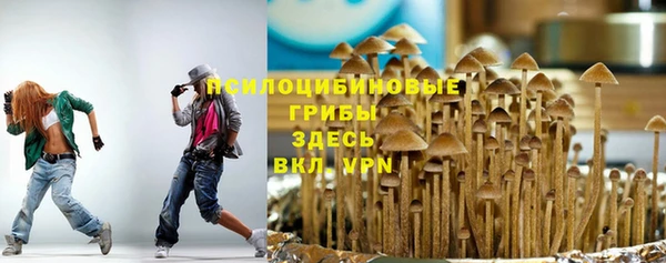 не бодяженный Гусиноозёрск