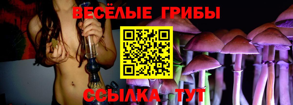 Галлюциногенные грибы MAGIC MUSHROOMS  Вход с VPN  Дербент 