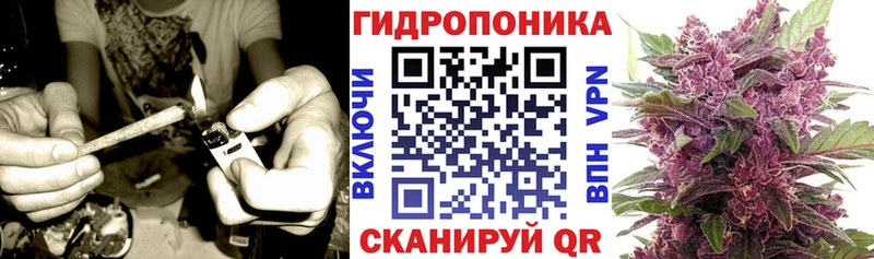 Каннабис Amnesia  хочу   Дербент 